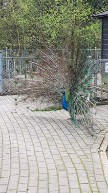 20180413_103206