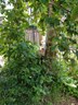 20190614_135253
