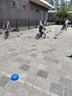 IMG-20200929-WA0005